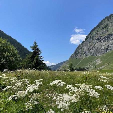T2 Vue Sur Le Parc De La Vanoise 拉普拉涅 外观 照片