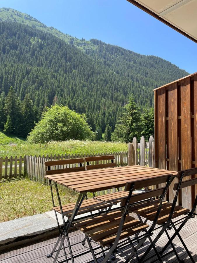 T2 Vue Sur Le Parc De La Vanoise 拉普拉涅 外观 照片