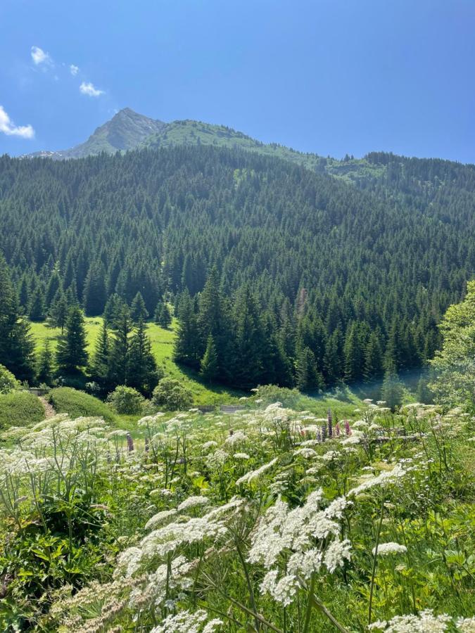 T2 Vue Sur Le Parc De La Vanoise 拉普拉涅 外观 照片